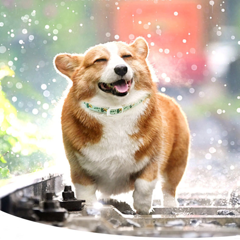 CalmingGuard™ Flea & Comfort Collar
