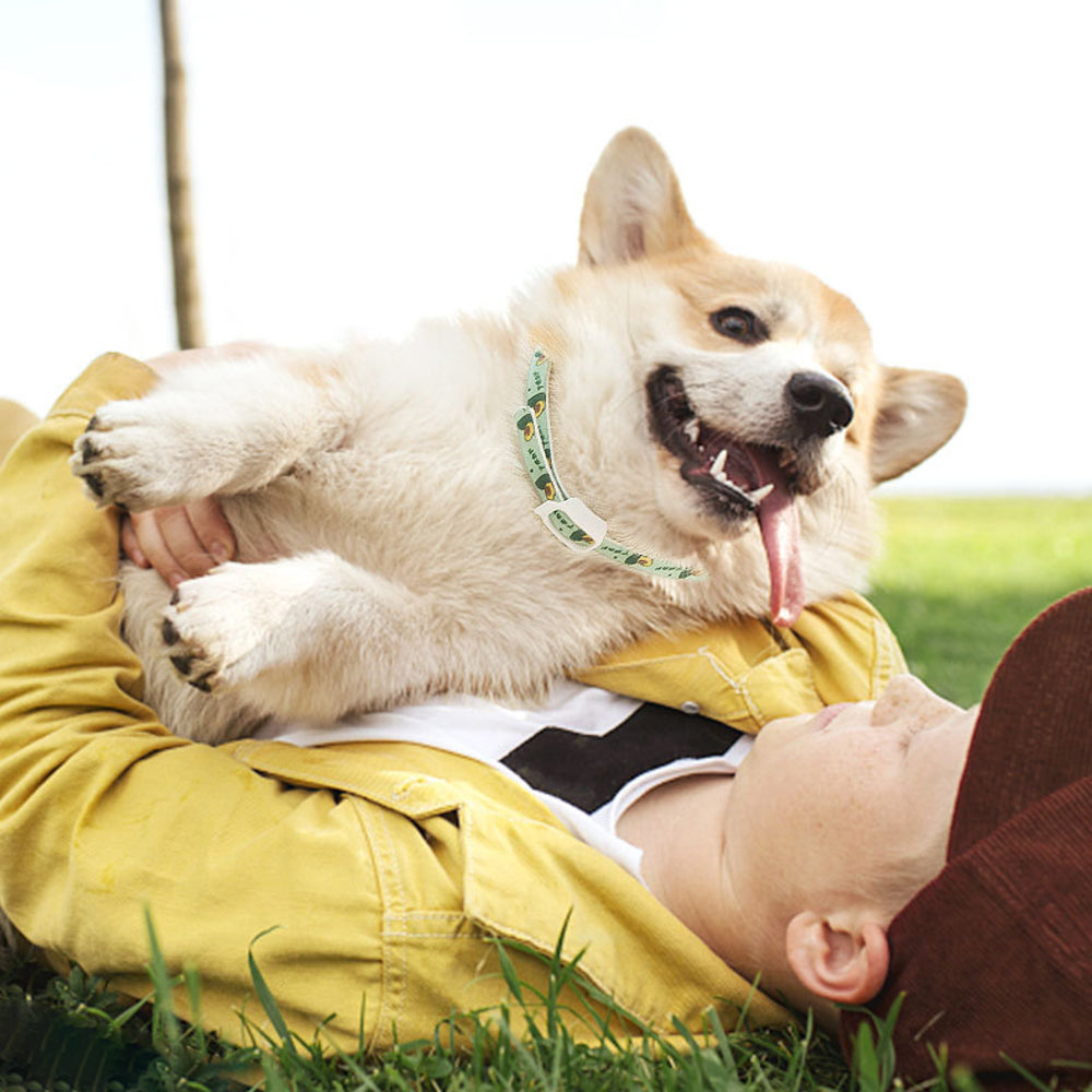 CalmingGuard™ Flea & Comfort Collar